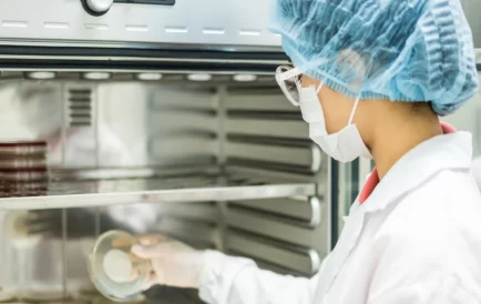 Laboratory Incubators In Biological Experiments